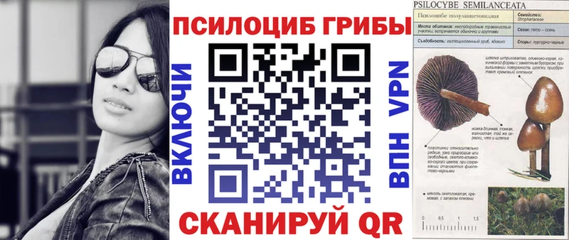 что такое наркотик  Троицк  ссылка на мегу ONION  Псилоцибиновые грибы Magic Shrooms 